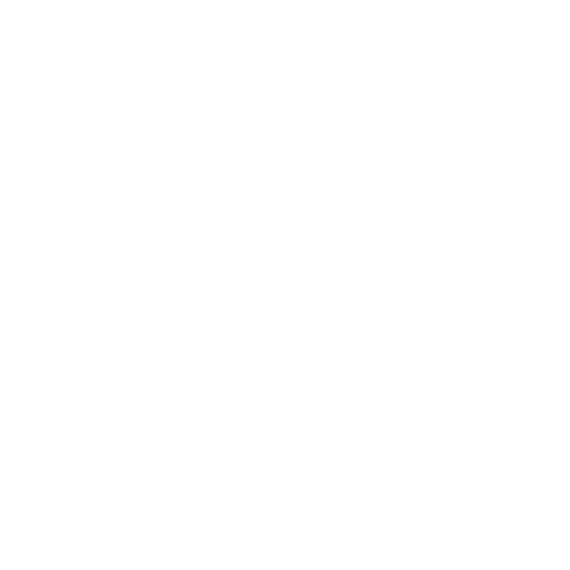 shield icon